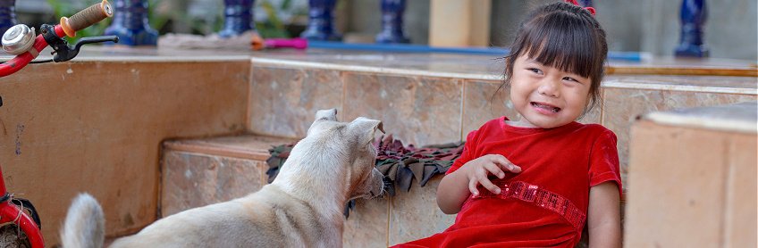 Tips for Helping A Child that Is Afraid of Dogs