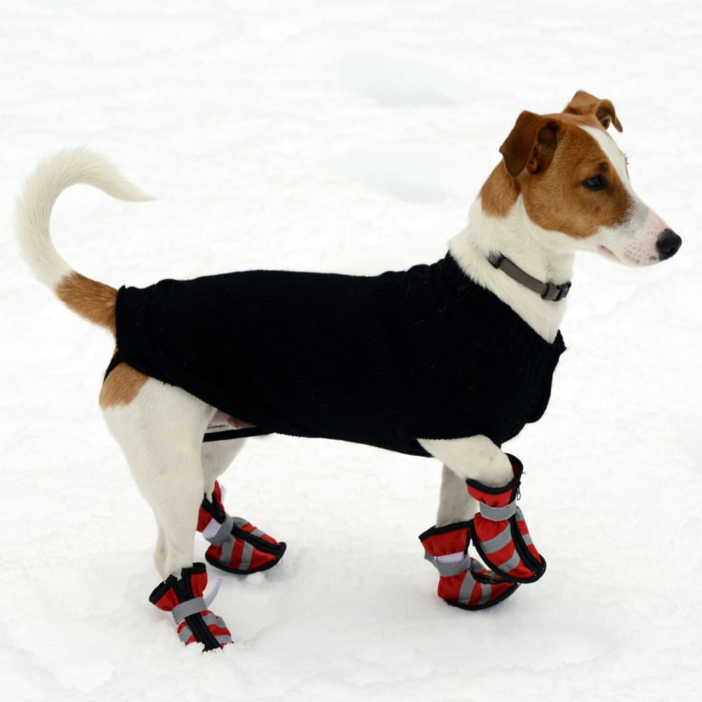 Get Your Dog Ready with a Warm Coat Booties