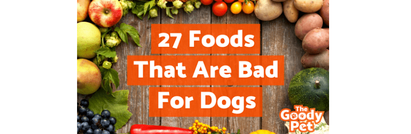 27-foodsthat-are-badfordogs-labradoodles-by-cucciolini