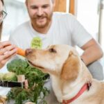 healthy-homemade-dog-food-recipes-and-organic-treats-labradoodles-by-cucciolini