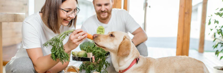 healthy-homemade-dog-food-recipes-and-organic-treats-labradoodles-by-cucciolini