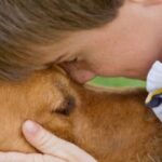 service-dogs-for-children-with-autism-labradoodles-by-cucciolini