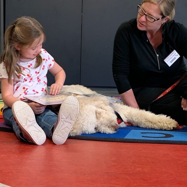 Therapeutic Benefits from "CHARLIE" in training - at Labradoodles by Cucciolini!