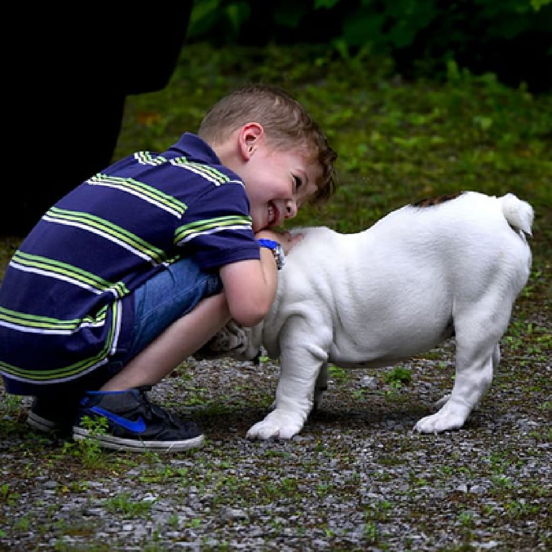 Empowering Your Child: Overcoming Fear of Dogs