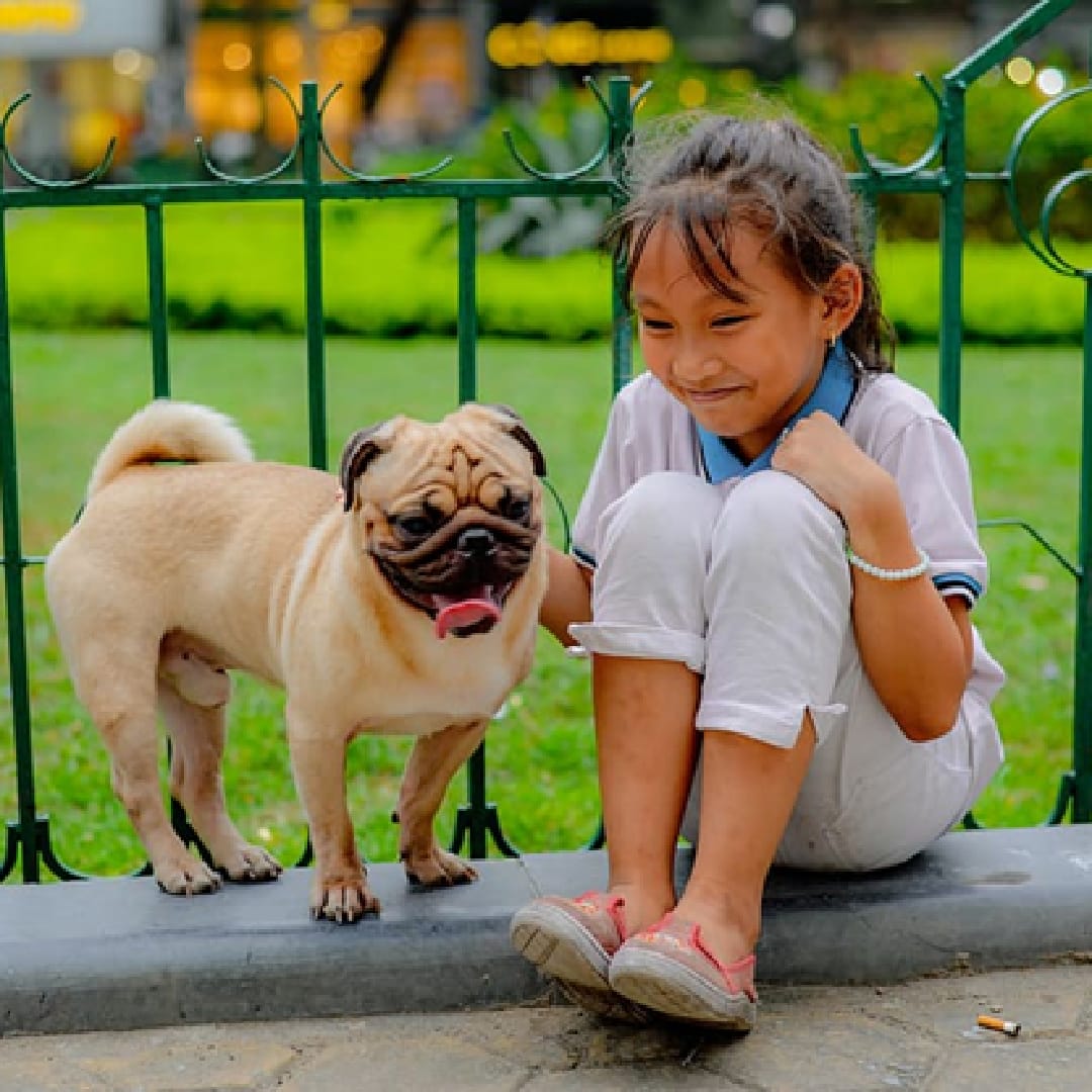 Teaching your child to Give Basic Dog Commands
