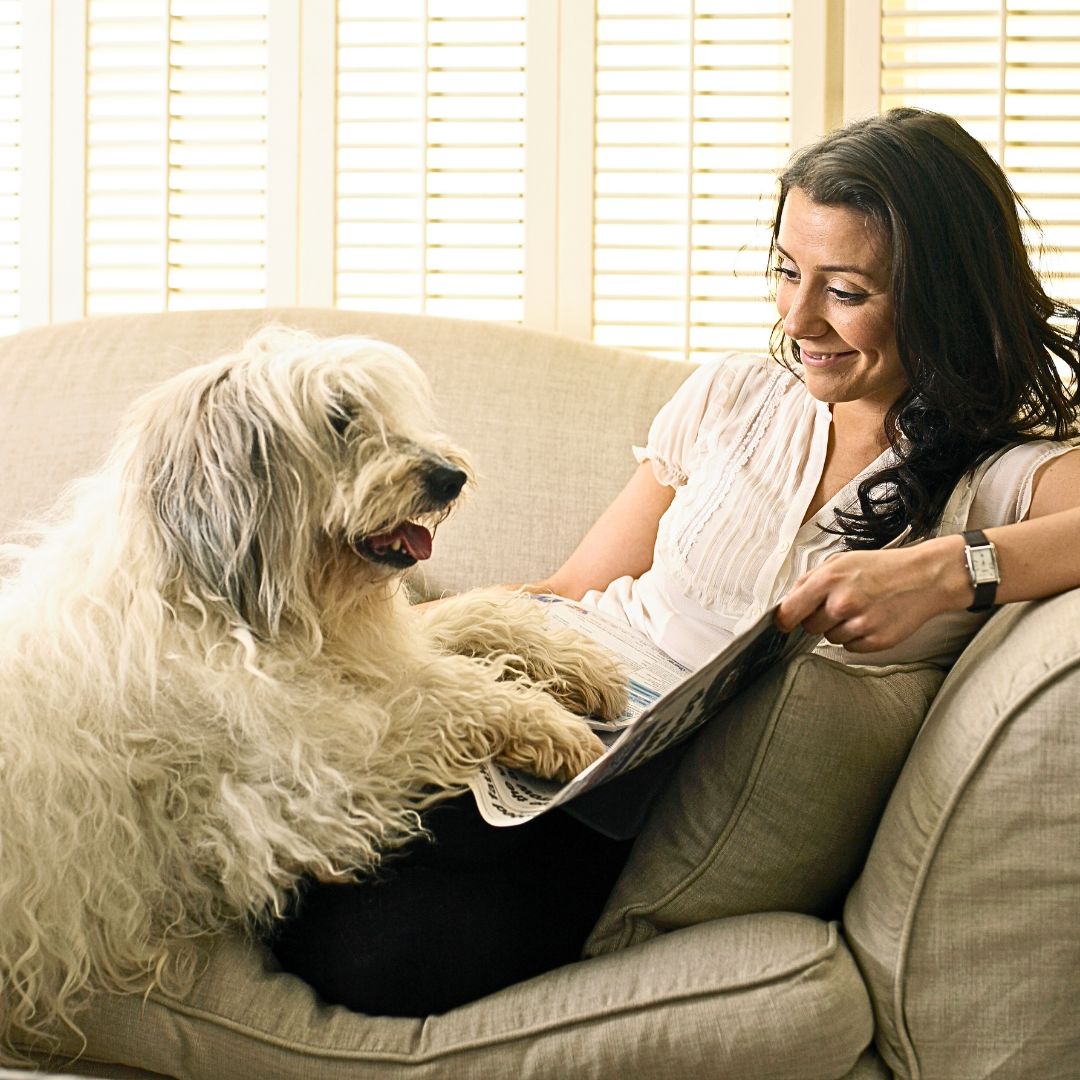 Create a Calm Environment to Reduce Your Dog's Anxiety and Stress Levels