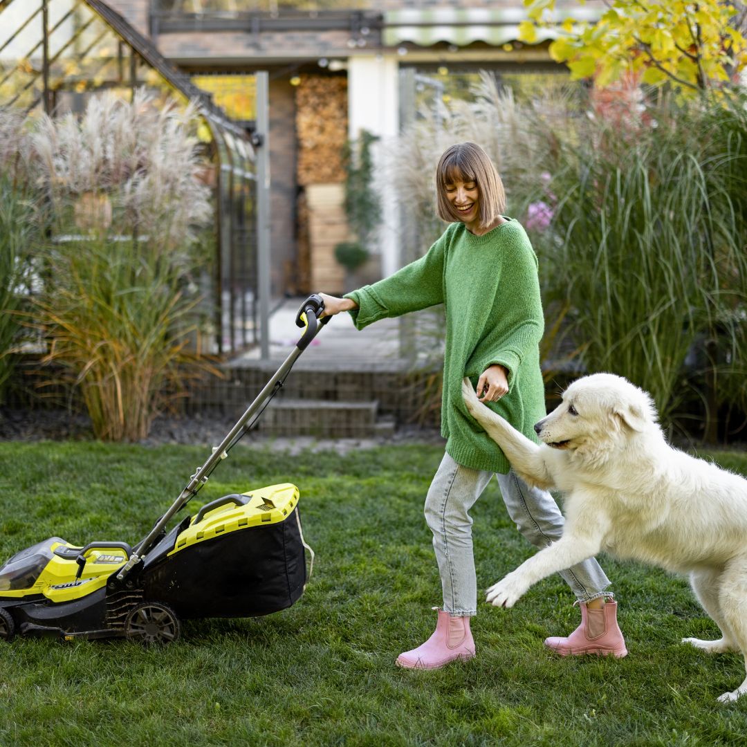 It is essential to mow the lawn to ensure it is cut short for optimal garden maintenance