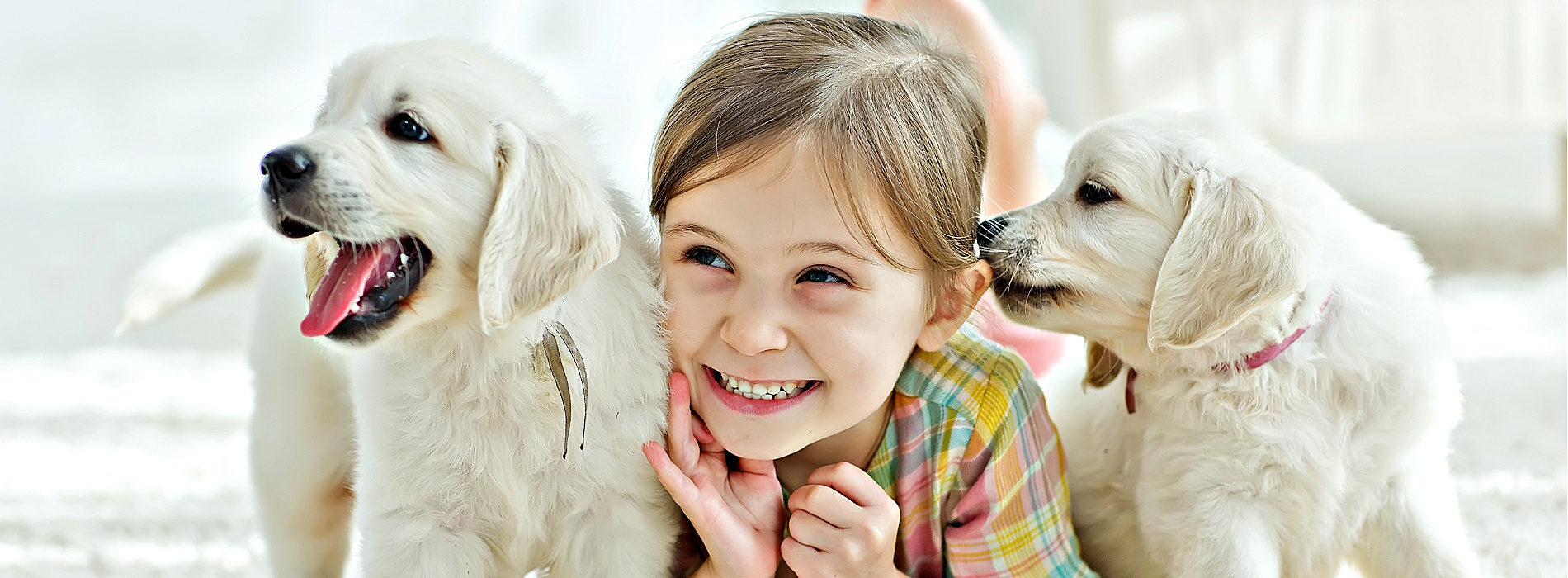 Socializing Your Puppy: A Guide to Raising a Well-Adjusted Companion