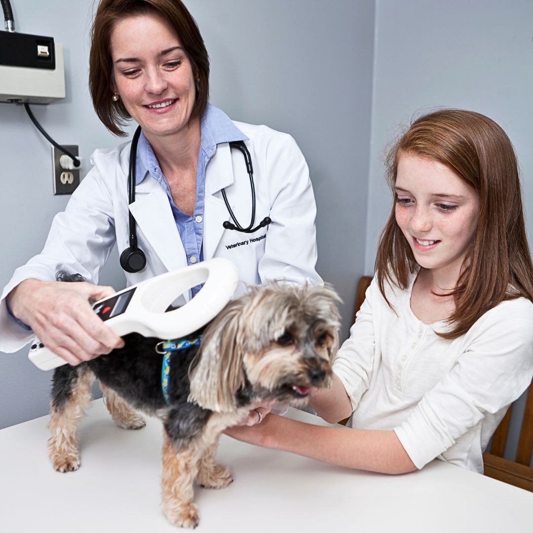 How Does a Microchip Work? Understanding the Technology Behind Pet Identification step by step
