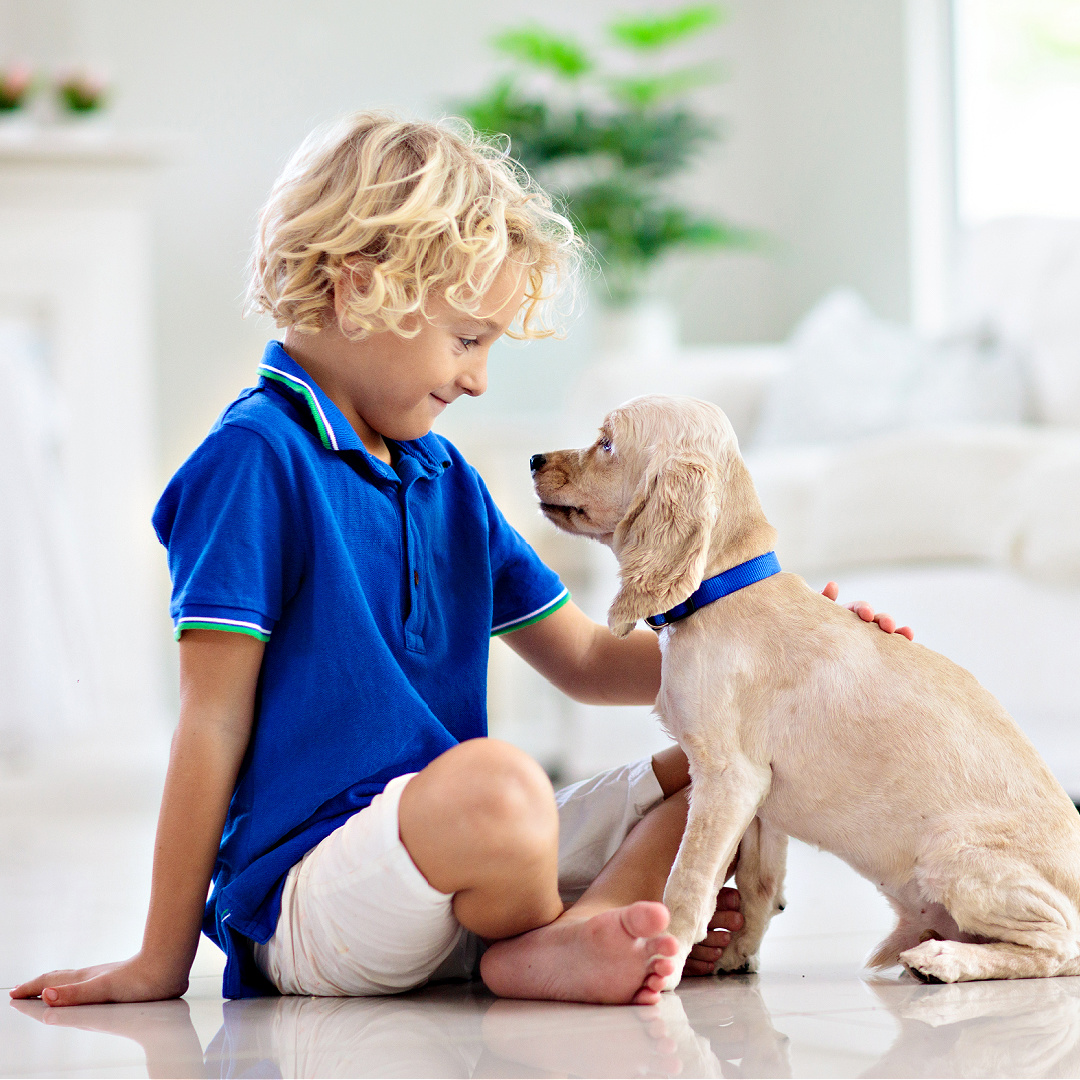 How to Socialize Your Puppy?