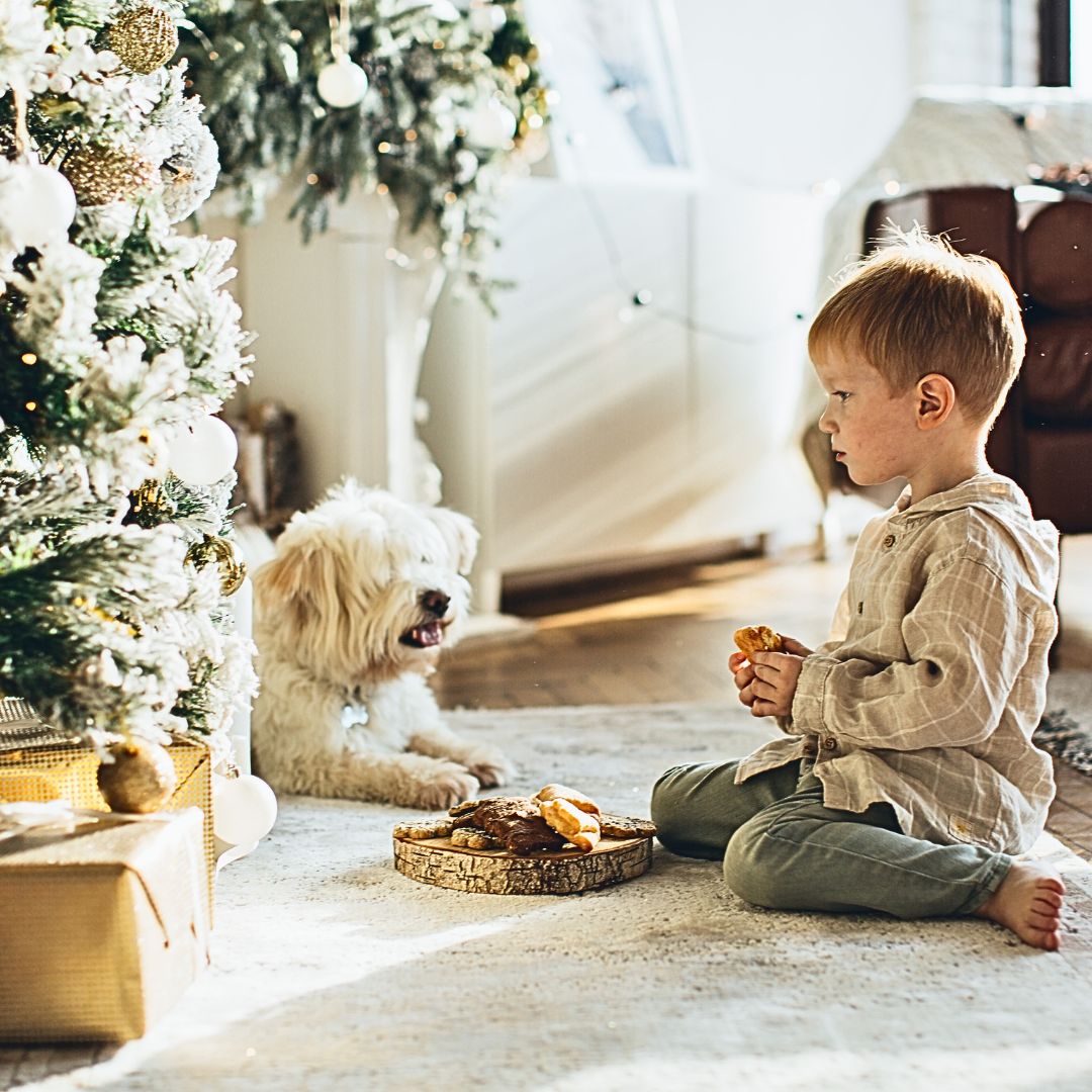 Preparing Your Home for a Pet-Friendly Christmas