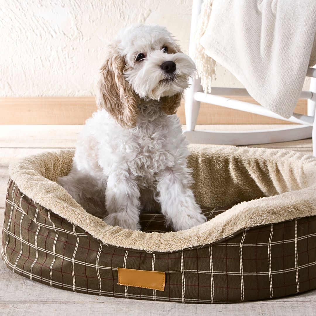 Puppy Checklist for Crates and Sleeping Beds