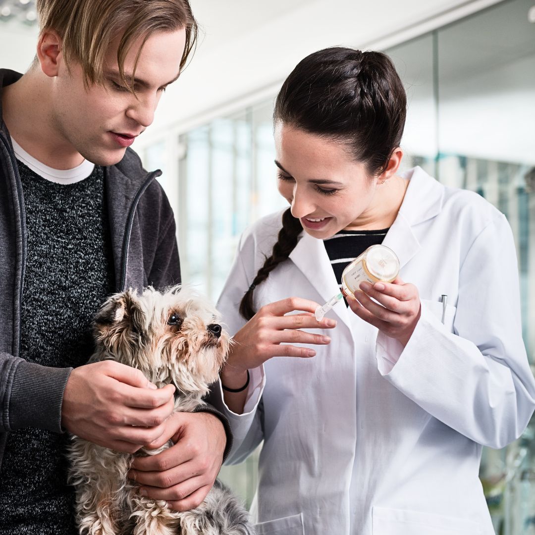 See a Doctor if your Dog is Coughing