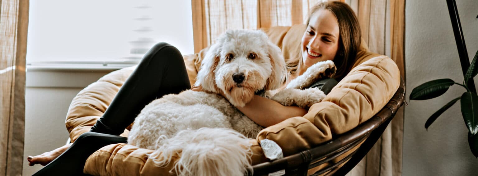 HOME - Labradoodles By Cucciolini