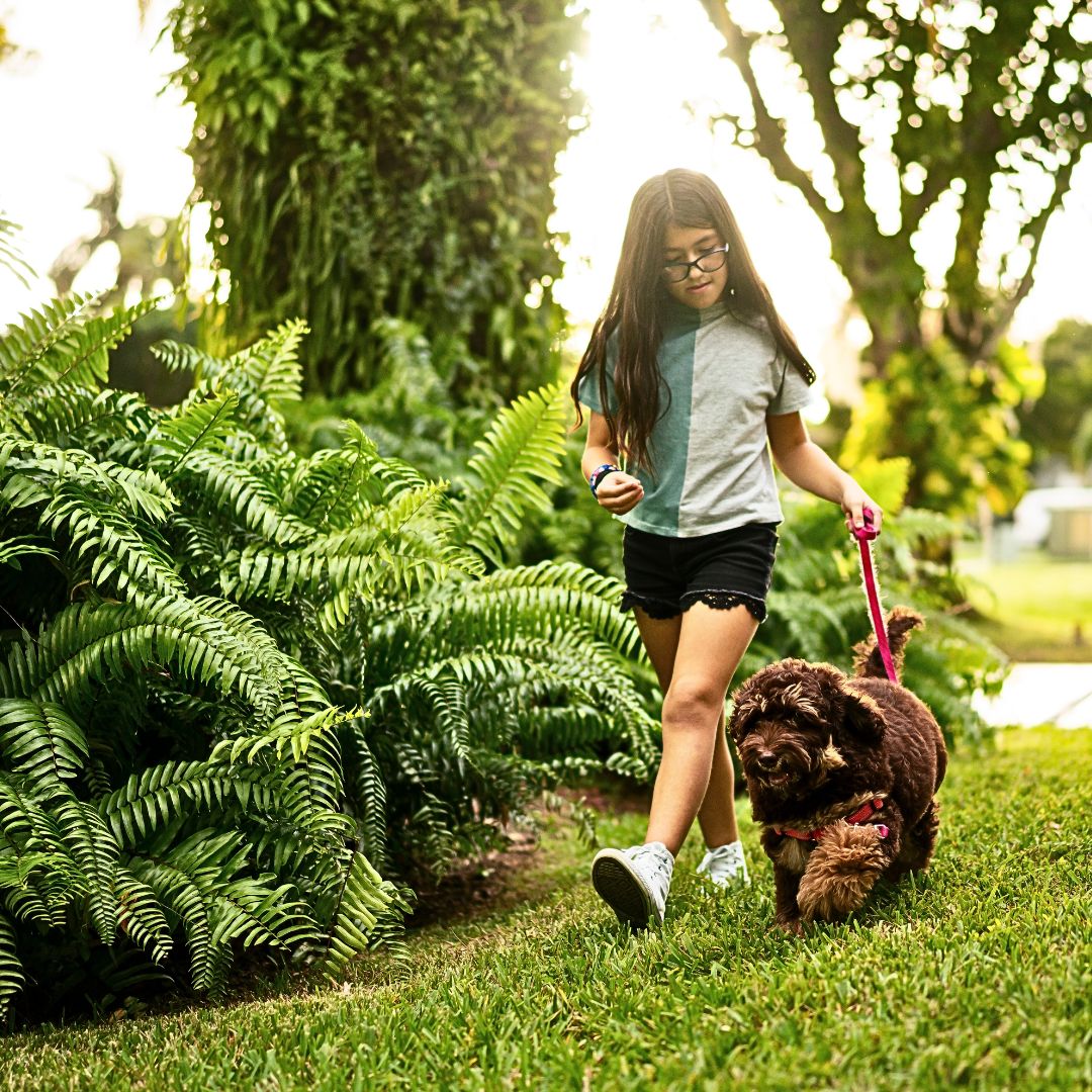 The Bond Between Labradoodles and Children