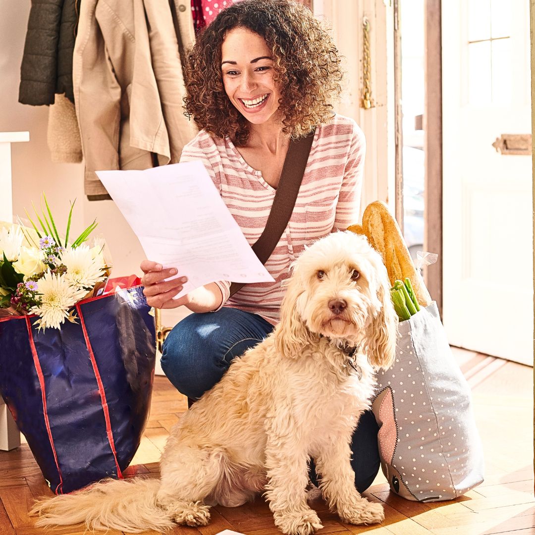 The Top Reasons to Get Pet Health Insurance for Your Labradoodle