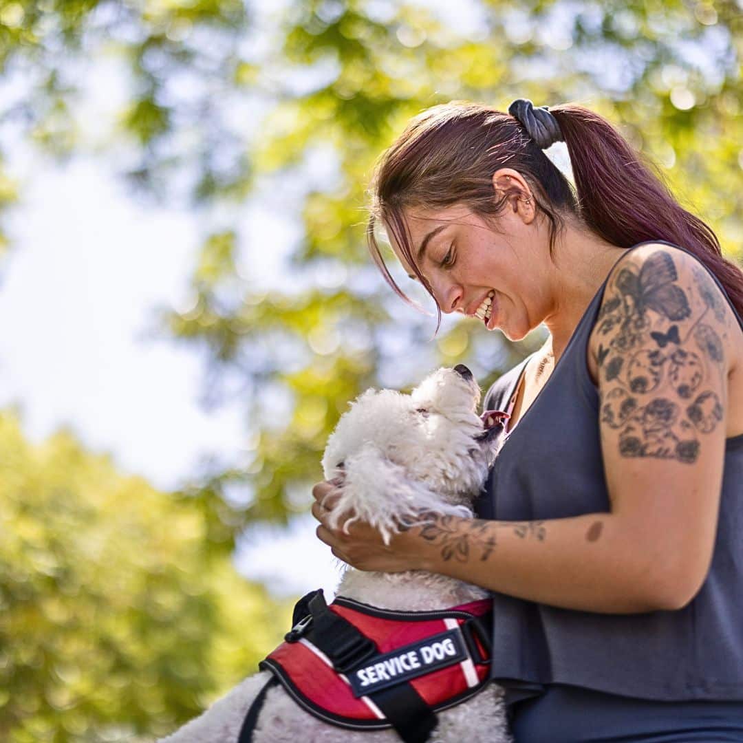 Why Labradoodles for Autism Therapy?