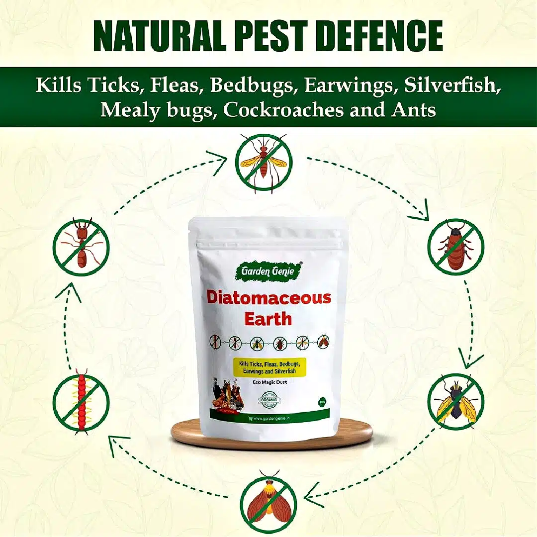 A bag of insect powder Dehydration Effect of DE on Fleas