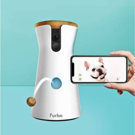 MEMORIALS-FUNERARY-PET-CAMERAS