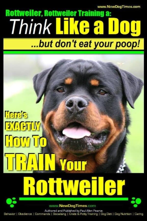 Rottweiler training a: Think Like a Dog, but don't eat your poop!  71x02IPciRL_SL1360_