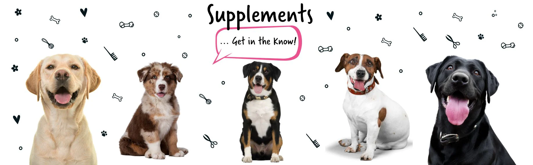 Supplements for Dogs