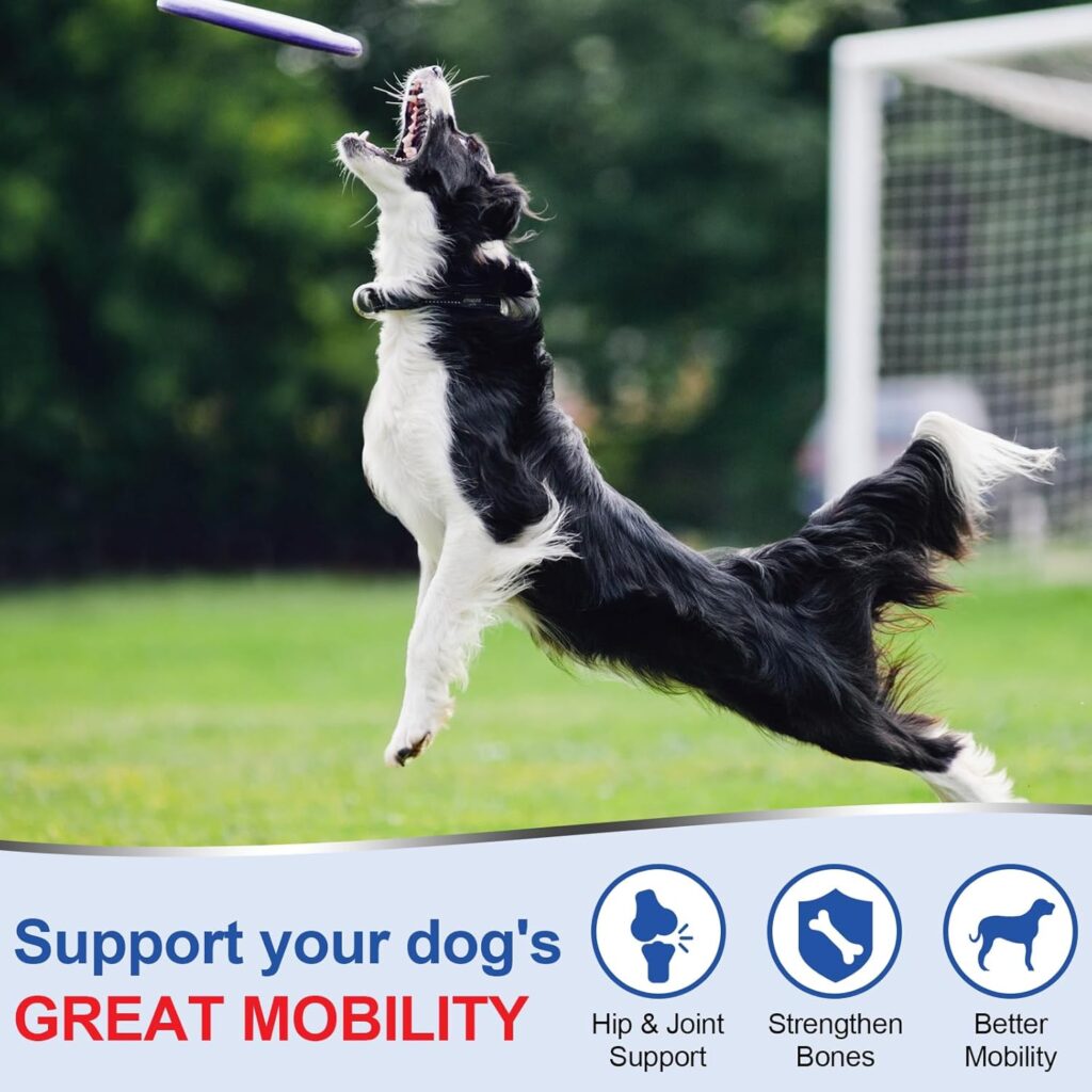 Dog Mobility Vitamins