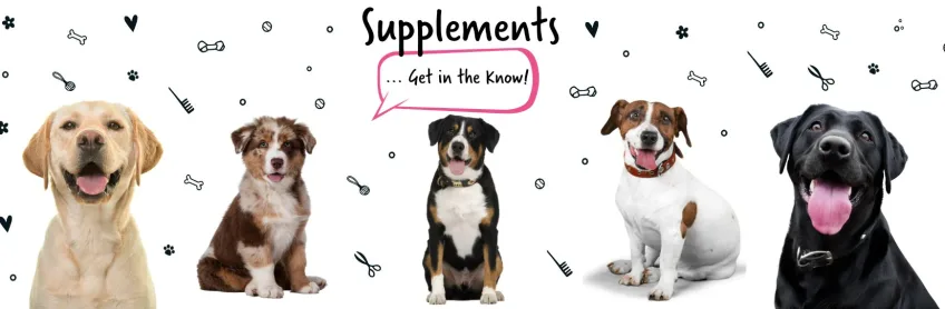 Supplements for Dogs