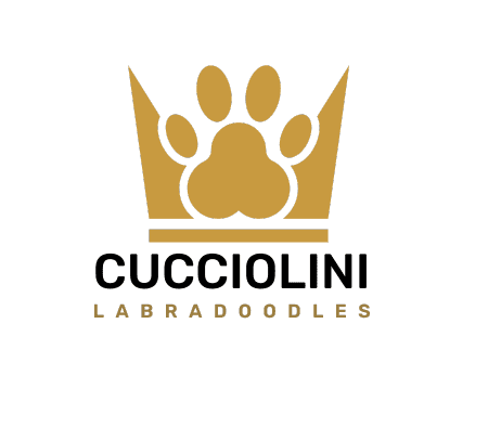 Cucciolini Labradoodles