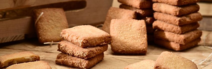 Homemade Pumpkin Treats for Dogs Three Delicious Recipe